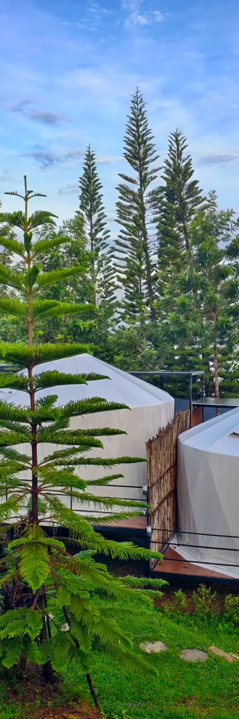 บรรยากาศภูลิขิตวิว เขาค้อ